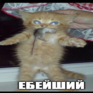 Хигошикатажоский