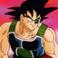 BARDOCK