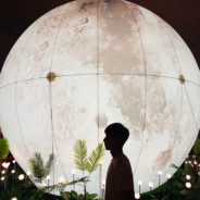 抽象行为艺术家