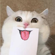 钱塘江上潮信来