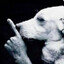 That Dawg in Me