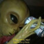 coma mierda