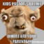 PakiForLeif