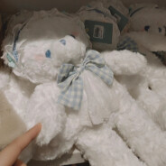 小熊玩偶快递中