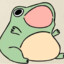 Unhoppy Froggy