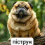 Kyni | перёга сират