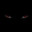 fz1w
