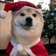 SeeBear