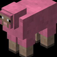 Pink Sheep