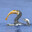 The Cormorant