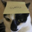 Gato meowski