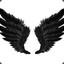 Angel-Wing csgoempire.com