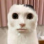 NEATimaru