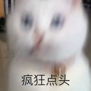 麦猫