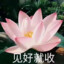 小远