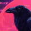 Crow