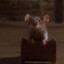 Mr. Jingles