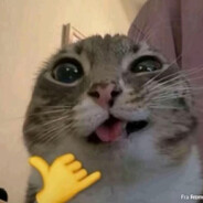 ch1ko