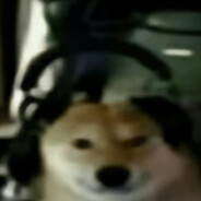 芒果刺客红围巾