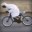 Arab on a bike