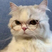 即兴的诗，烂尾的誓