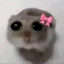 wiks