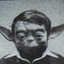 Sophomore Year Yoda