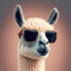 Mr. Je SKINS