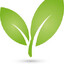 Twoleaves