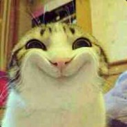 会打小电会舔包，未来可期