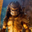 Predator [DT]