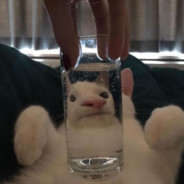 比基尼海滩名媛