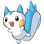 pachirisu