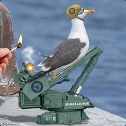 M_Seagull