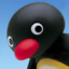 Pingu