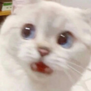 遇到困难睡大觉