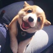 浓眉大眼的詹詹