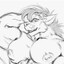 ds_Furryy