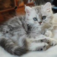 有话好说别打头