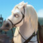 horsemad5432