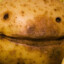 aroguepotato