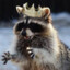 3 Raccoons in Armor