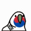 Korea-Parrot