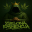 ZiElOnA EmInEnCjA