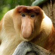 Romik