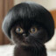 Sandy the Black Cat