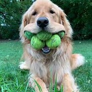 Saggy Balls