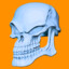 SkeletonIce