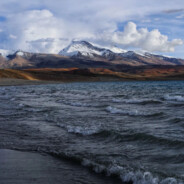 网恋被骗十个大电