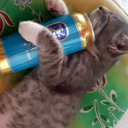 nagyesz - steam id 76561198865554842